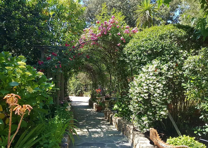 Apparthôtels à Calvi (Corsica)