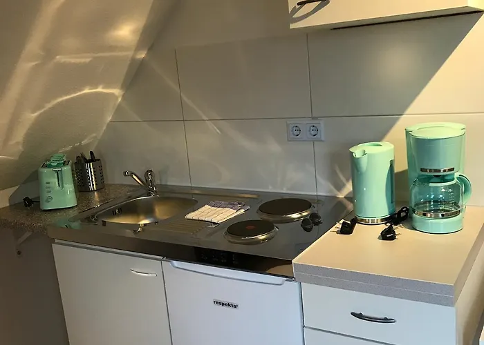 Kleine Möwe