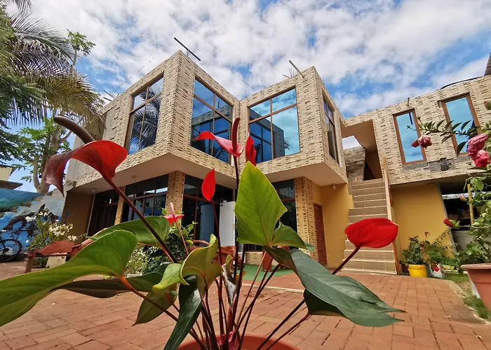 La Casa De Mi Sub