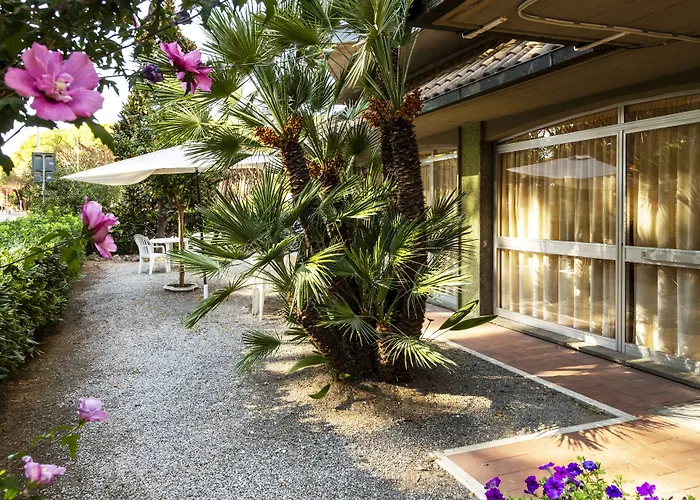 Hotel Parco Dei Pini - 100Mt Dal Mare