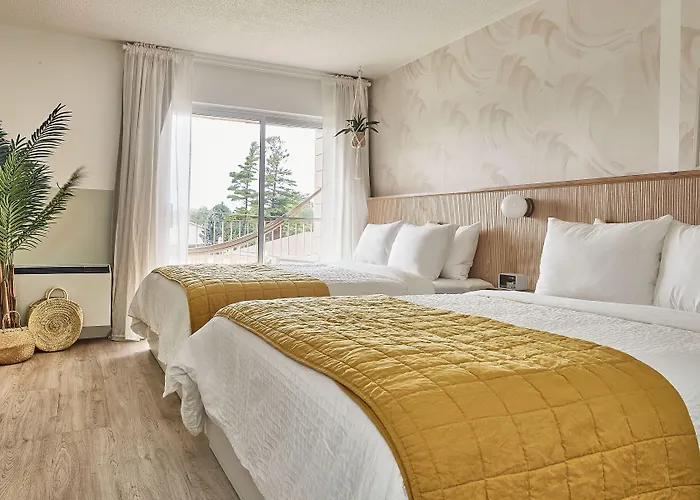 The June Motel, Sauble Beach
