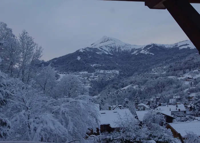 Hotel De Trois Mont Blanc