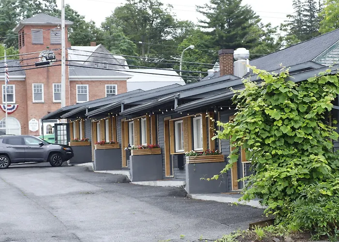 The Vine On Main