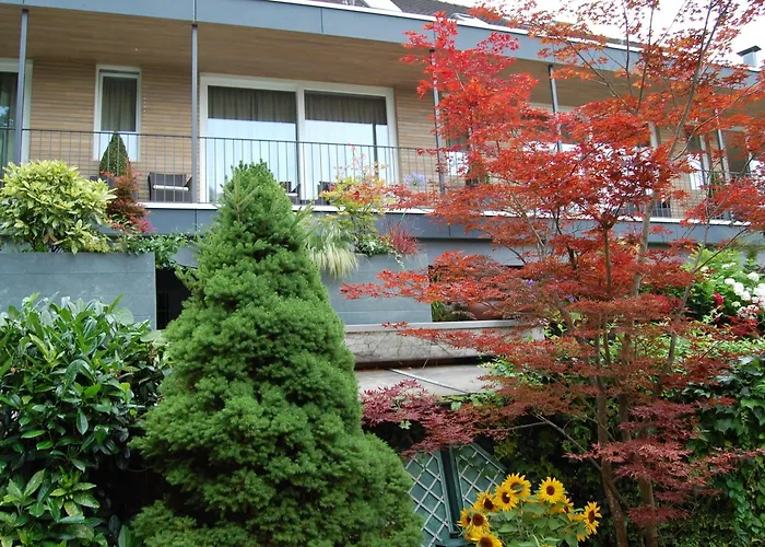 Hotel Der Löwen