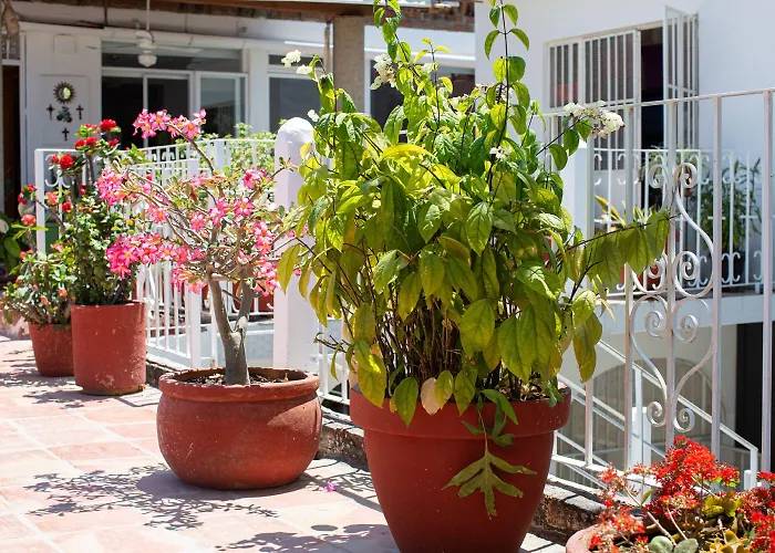 Casitas Miramar Puerto Vallarta Malecón