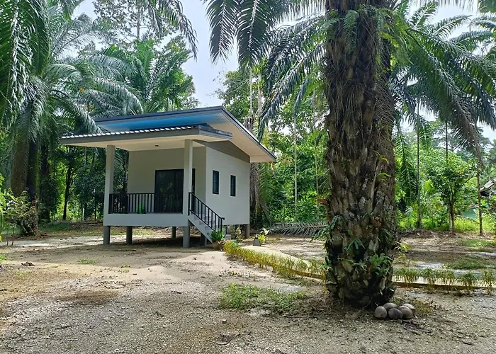 Khao Sok Green Garden Resort
