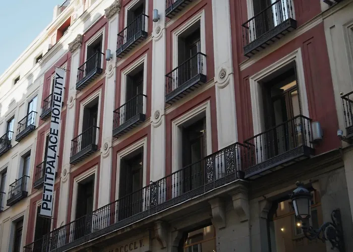 Petit Palace Puerta Del Sol
