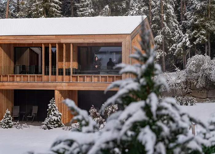 Dolmites Nature Hotel Vigilerhof