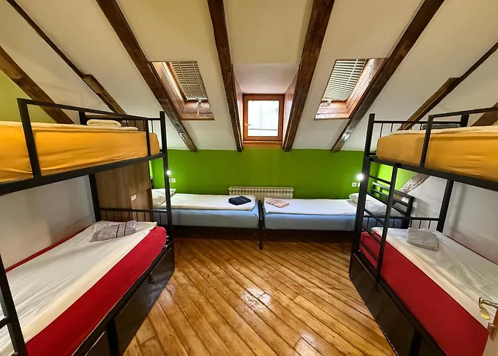 Hostel Vagabond
