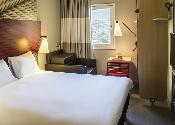 Ibis Copiapo