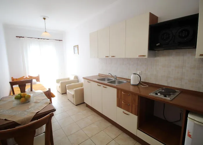 Zorbas Studio Deluxe