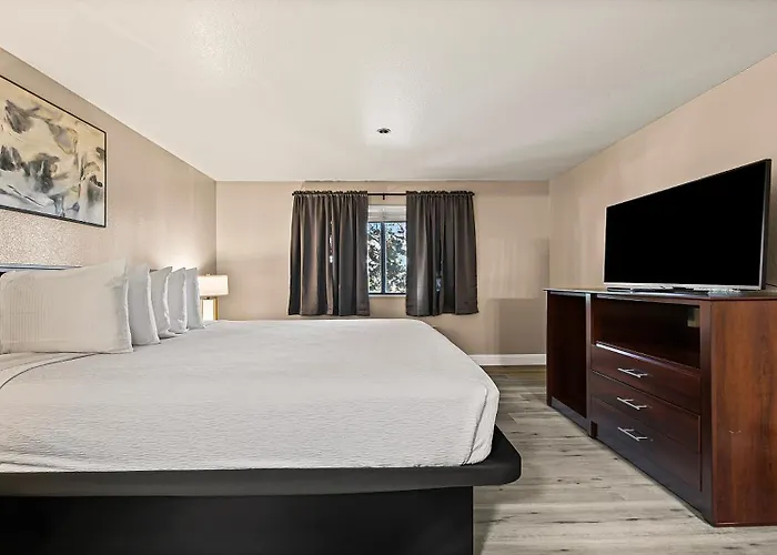 Best Western Plus Orchid Hotel & Suites