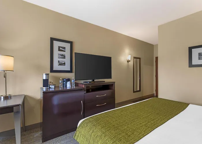 Best Western Plus Plaza By The Green