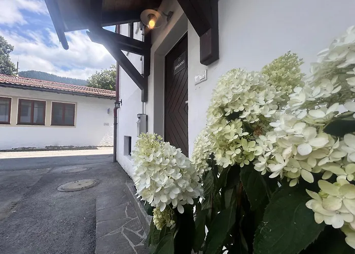 Hotels in Bayrischzell