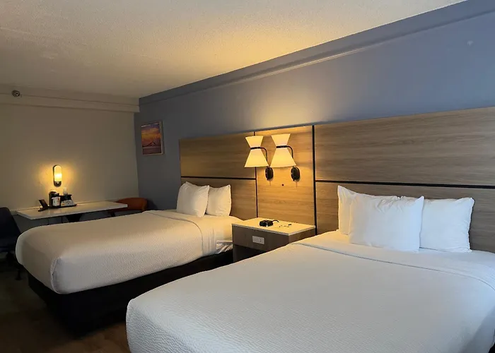 La Quinta By Wyndham St Petersburg-Clearwater