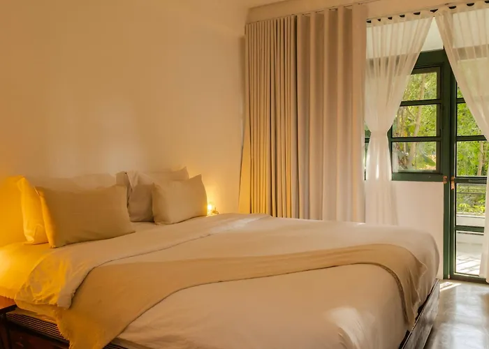 Big Tree Boutique Hotel