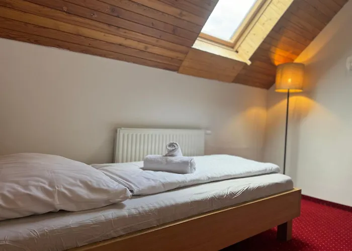 Horsky Hotel Vidly