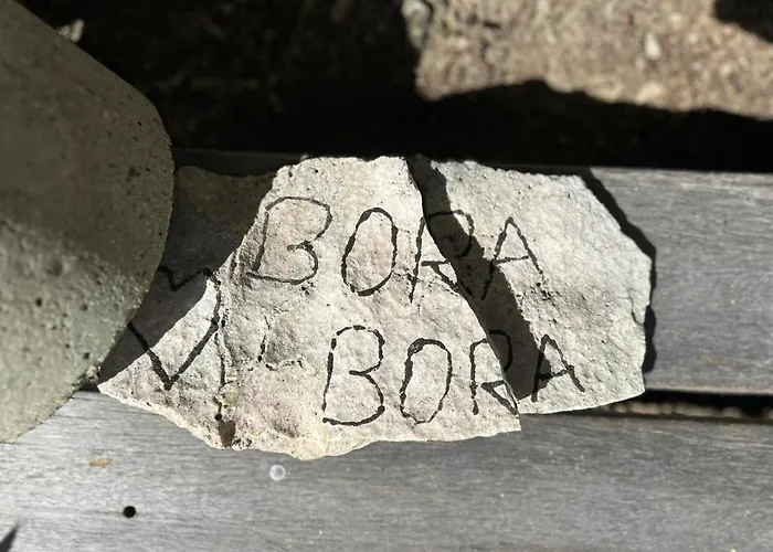 Bora Roots Camp