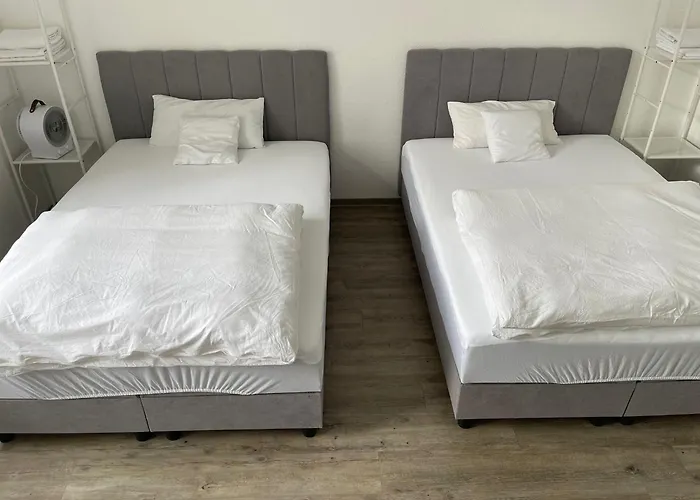 2-3 People In Peaceful Room Kassel City