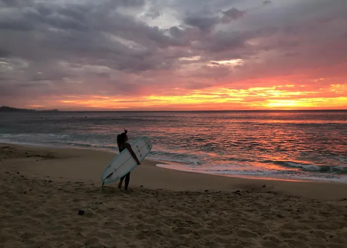 Aloha Surf Hostel