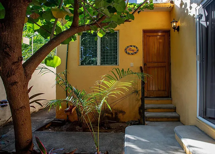 Hotel Zandoyo Bed & Breakfast