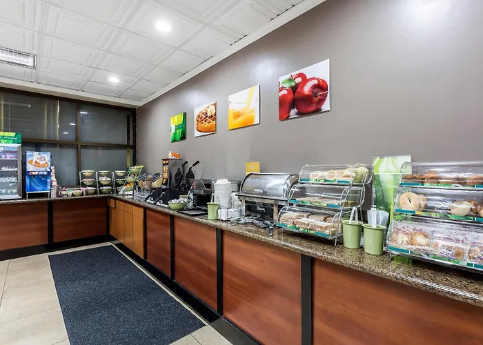 Quality Inn&Suites Los Angeles Airport - Stadium District