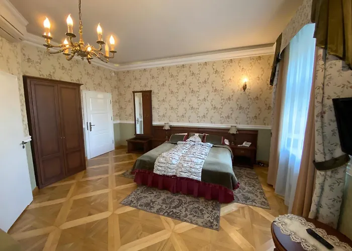 Hotel Palac Borynia