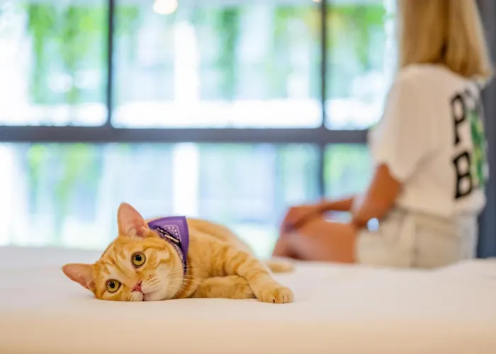 Hotels in Phuket