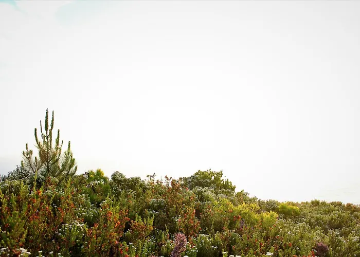 The Hive - Sunset At Misty Mountain Reserve