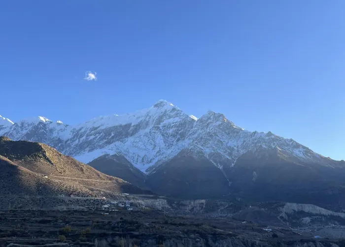 Hotel Mustang