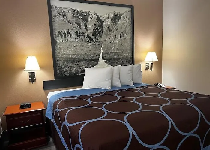 Hotel Piney Woods