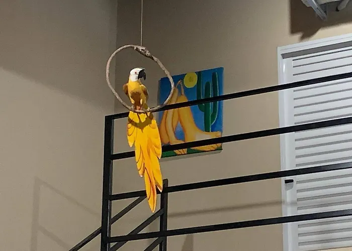 Pousada Recanto Populina