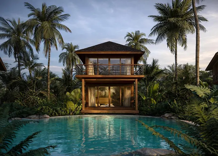 Kappa Senses Zanzibar