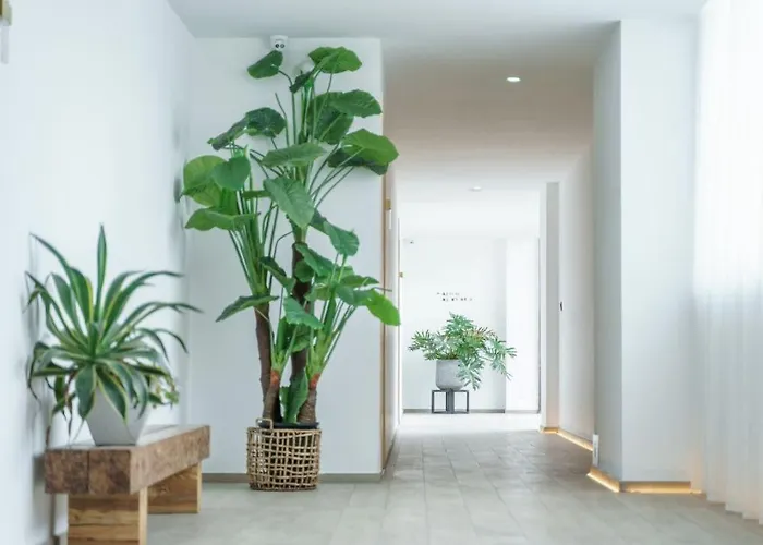 Xianzai Houshe Boutique Hotel