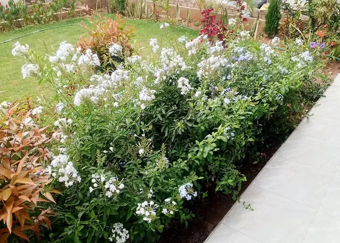 Kigali Aromas View Home