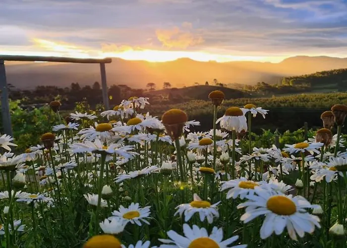 Hotéis de Bom Retiro (Santa Catarina)