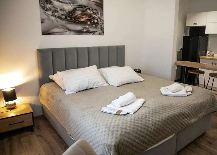 Hotel Piast