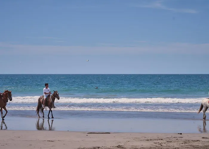 Hotéis em Playa Negra