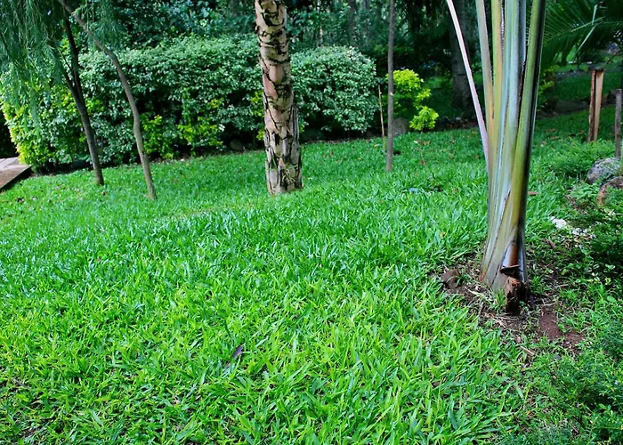 Tranquil Homestays