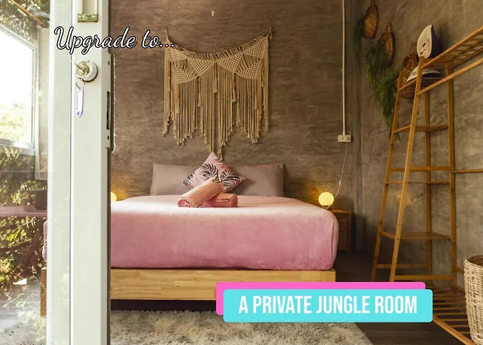 Wonderland Jungle Hostel