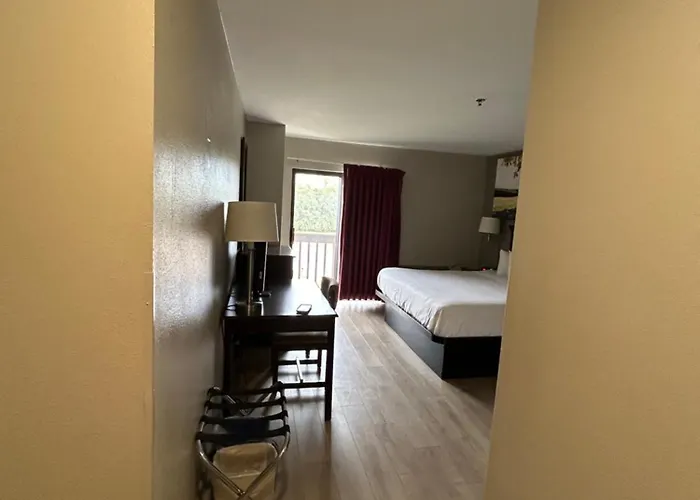 Park Inn