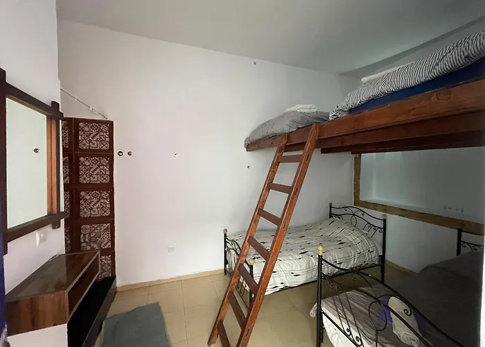 Hostel international