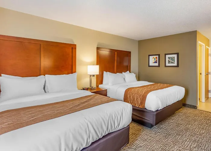 Comfort Inn Dekalb - University Area