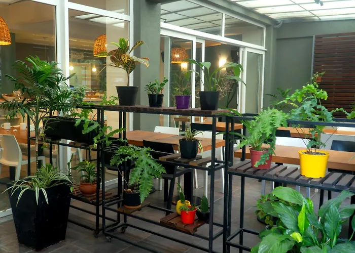 Circus Hostel