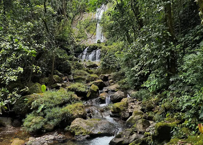 Rainforest Yasmin Hotel