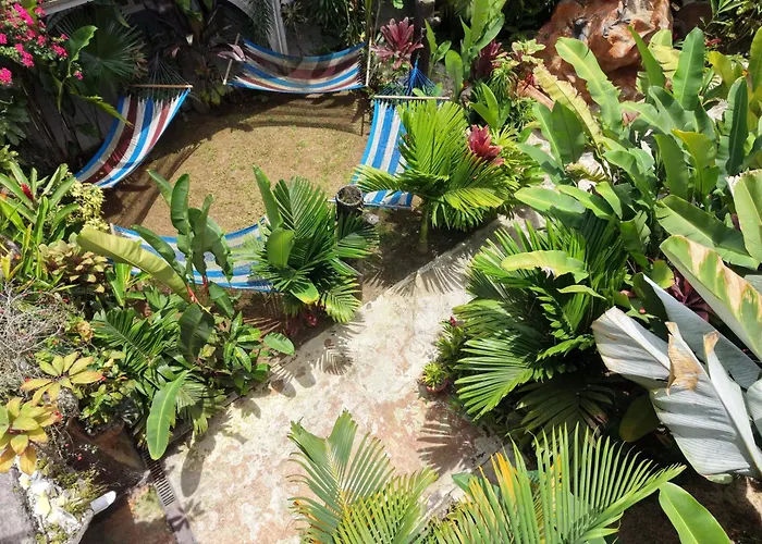 Arenal Poshpacker Boutique Urban Tropical Hotel