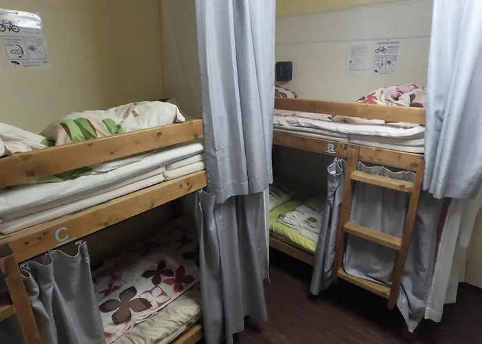 Zamamia International Guesthouse