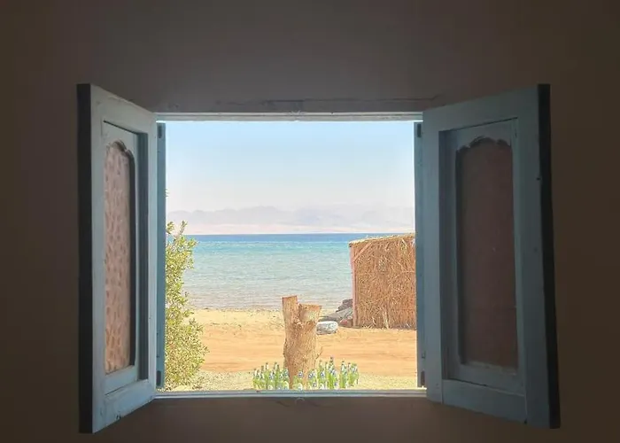 Michael'S House