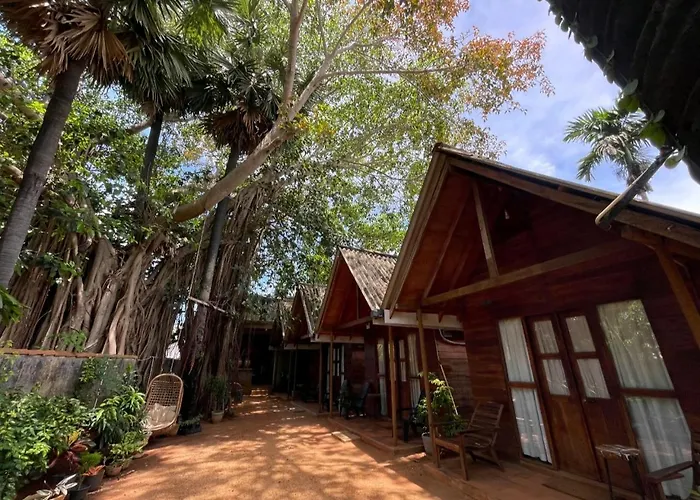 Cool Banyan Cabana