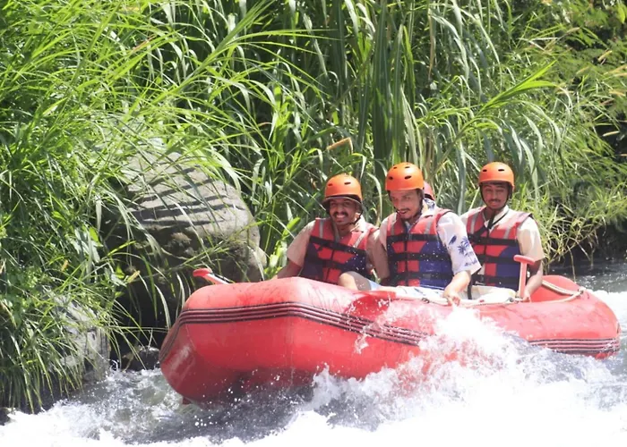 Joni Ubud Hostel